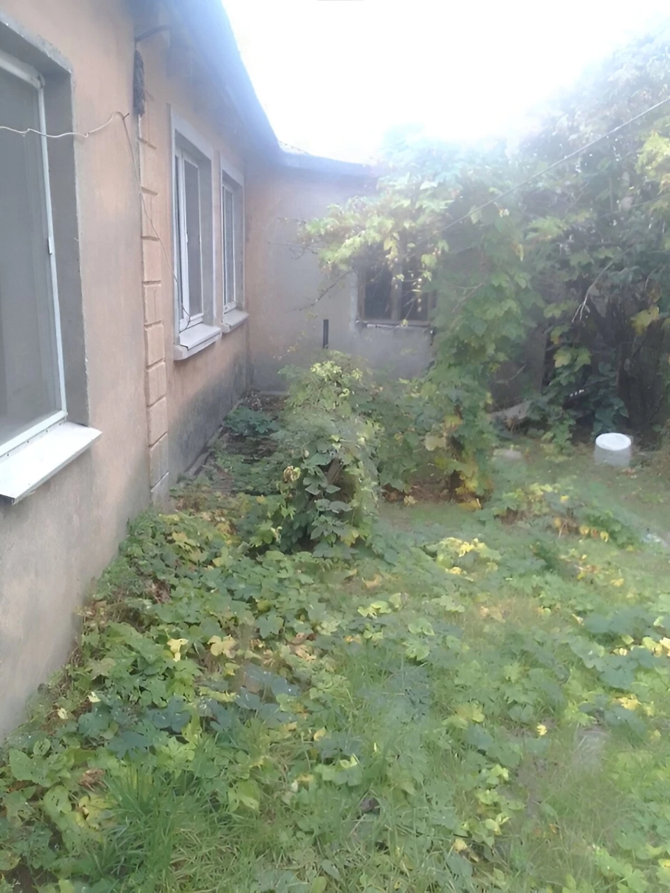 Sale House Persepska