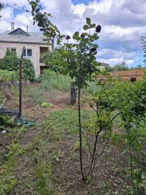 House 10,468 sq ft. 3 rooms in good condition. Lenseslyache. Chaygib