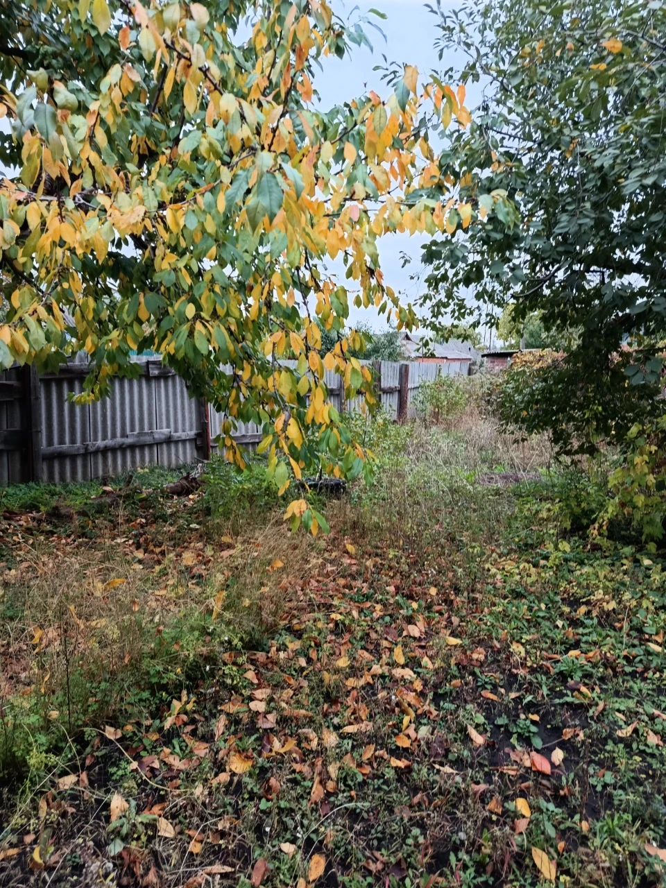 For sale: 3/4 house, no separate part.