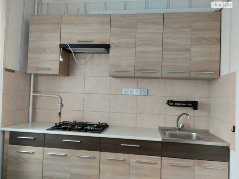 Long-Term Rental Apartment "Vishchenka"