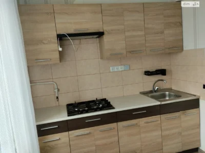 Long-Term Rental Apartment "Vishchenka"