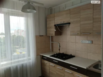 Long-Term Rental Apartment "Vishchenka"