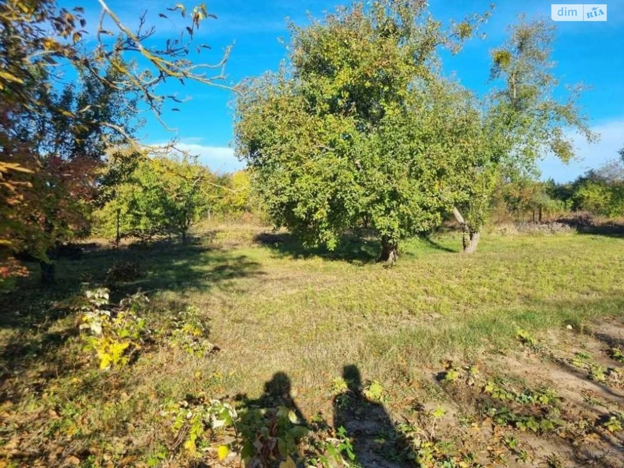 Sale Land for Agricultural Purposes Kyiv