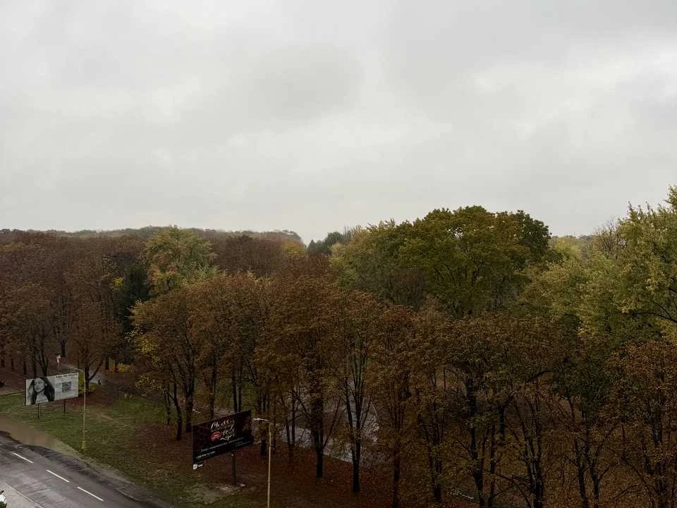 Apartment. Uzhhorod, Anatolii Tezhi Street
