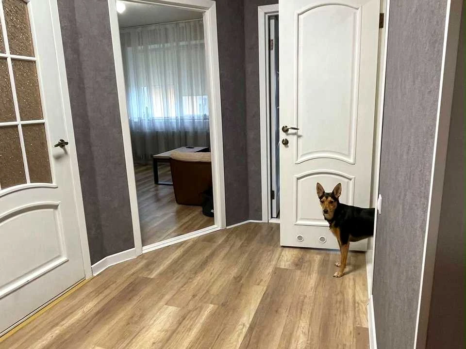 Квартира. Хмельницький, вулиця Степана Бандери