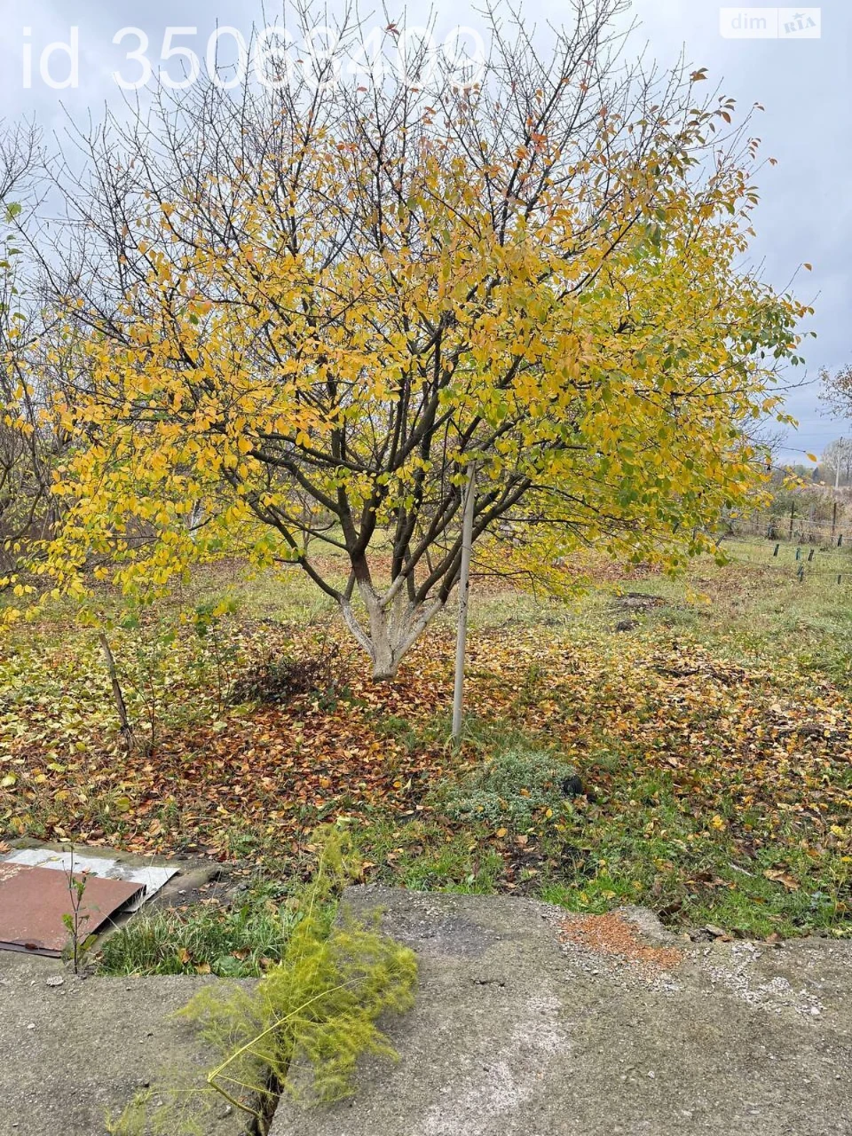 House for Sale in Lesnovo