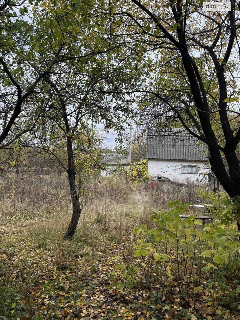 Продається земельна ділянка в Лезневому