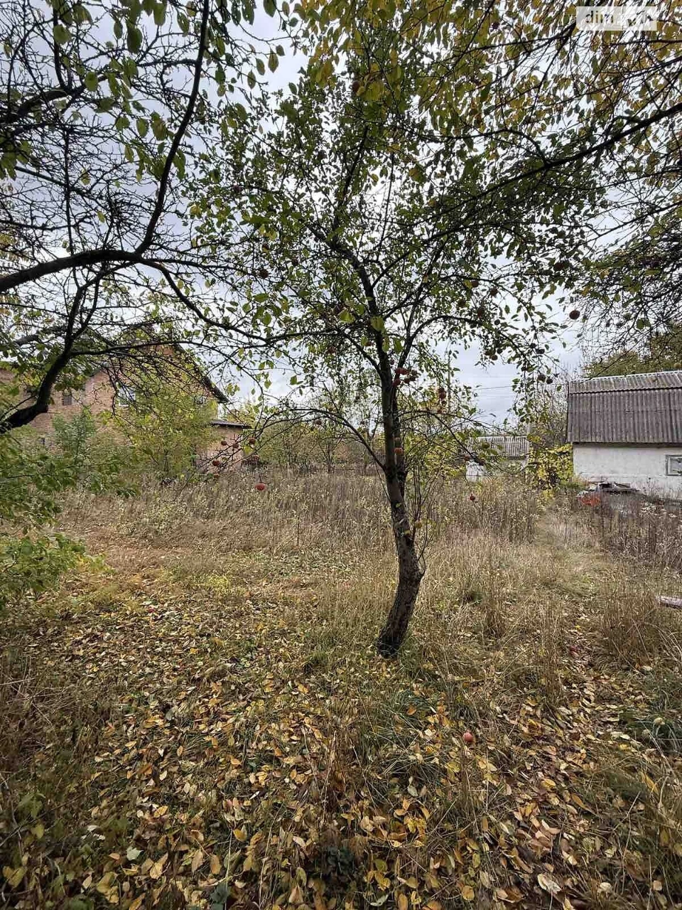 Продається земельна ділянка в Лезневому