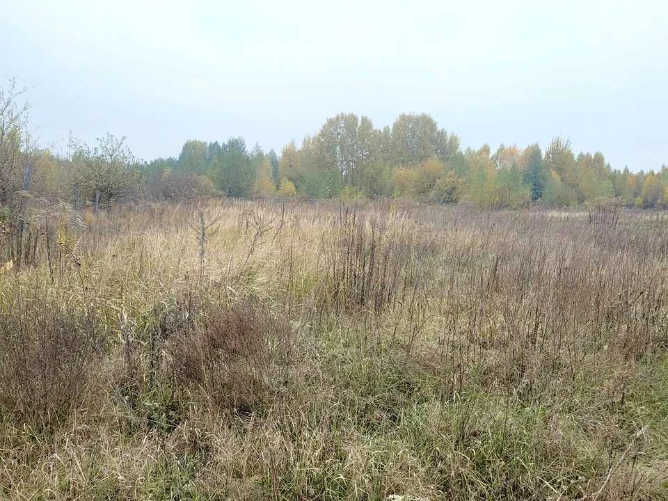 Land. Житомир
