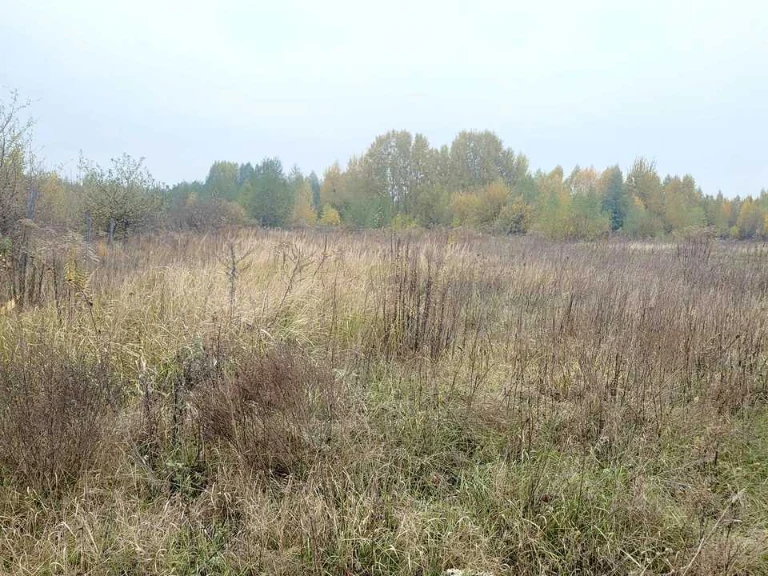 Land. Житомир
