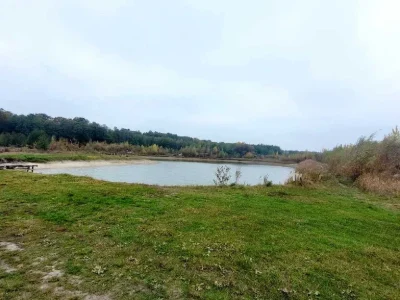 Land. Житомир