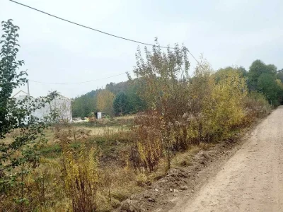 Land. Житомир