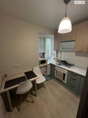 Long-Term Rental Apartment in Leshy