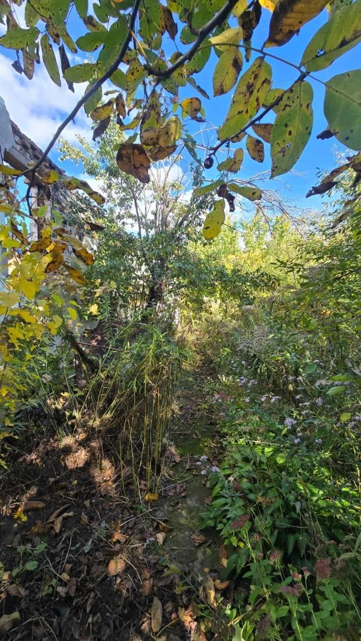 Land for sale: 7.5 acres for building a house!