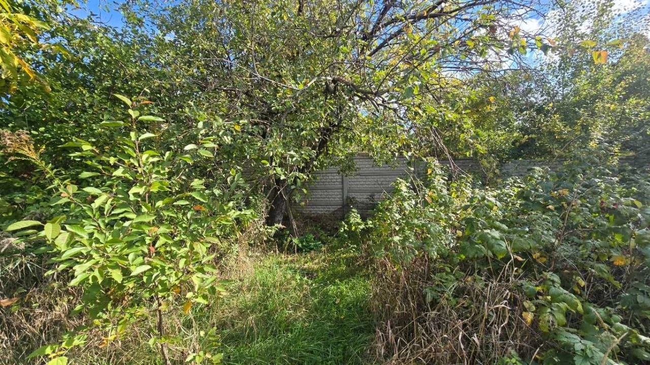Land for sale: 7.5 acres for building a house!