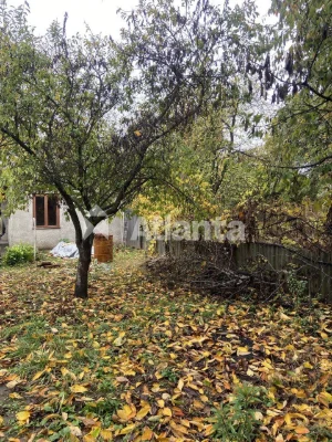 Country House