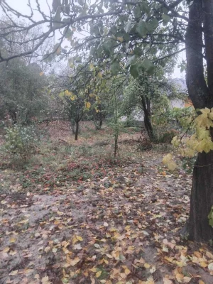 Land for sale - 6 acres on Spas Street