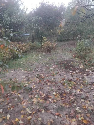 Land for sale - 6 acres on Spas Street