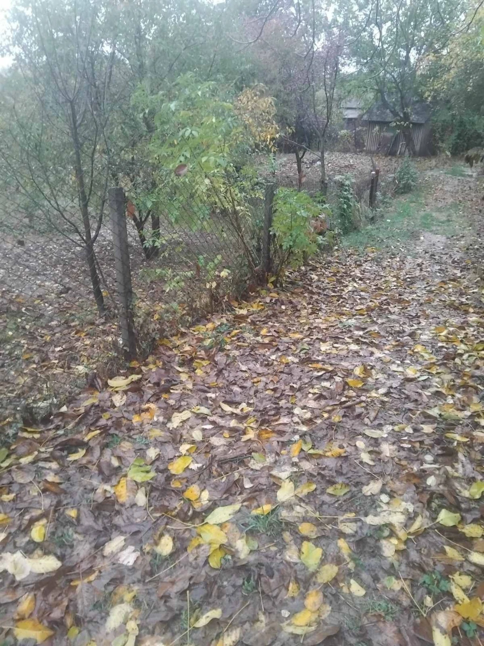 Land for sale - 6 acres on Spas Street