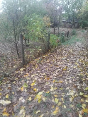 Land for sale - 6 acres on Spas Street