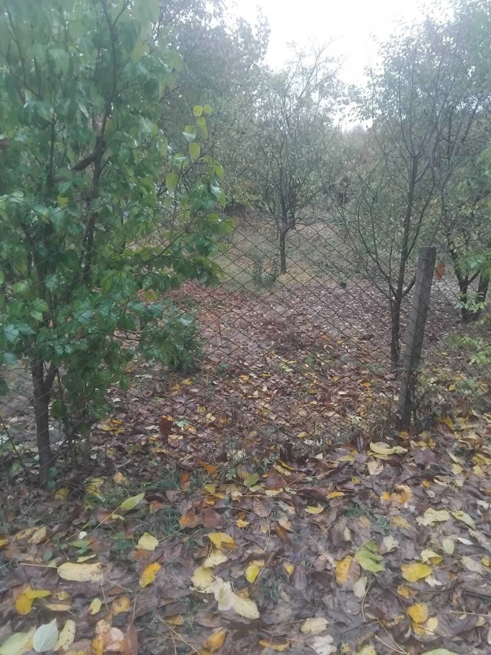 Land for sale - 6 acres on Spas Street