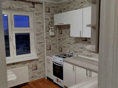 Apartment. Vyshneve, European Street