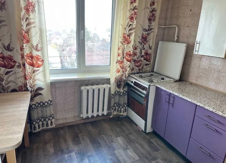 Bright 2-bedroom apartment with modern renovation near