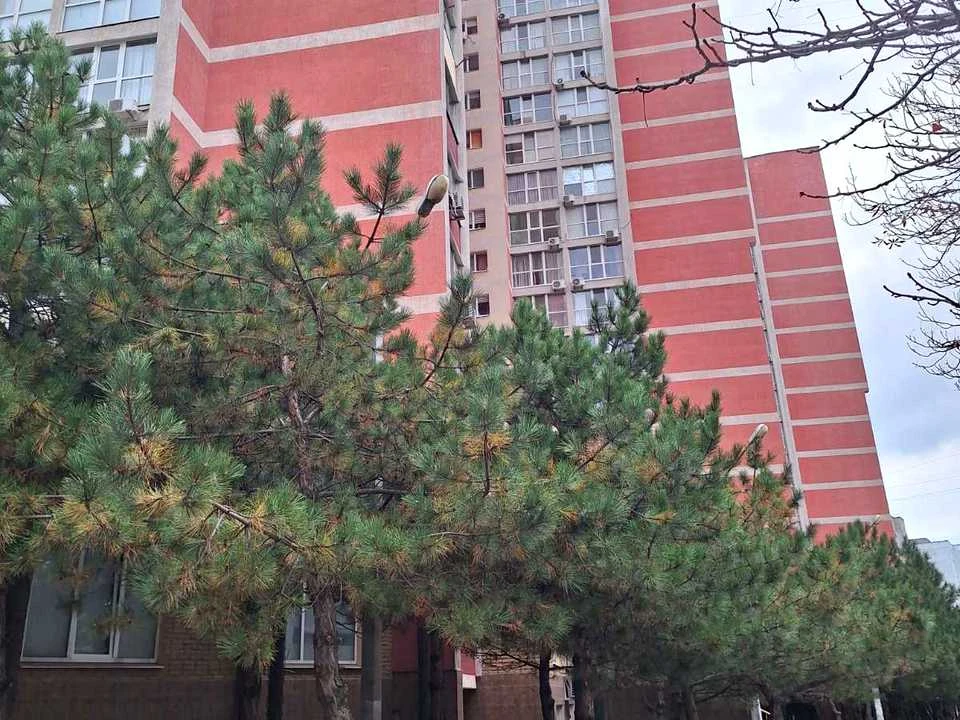 Apartment. Odesa, Zakhisnykiv України Street.