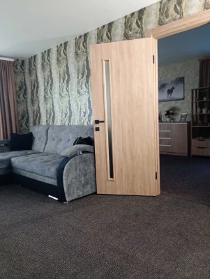 Продам квартиру 100 м2. в центре г. Карловка