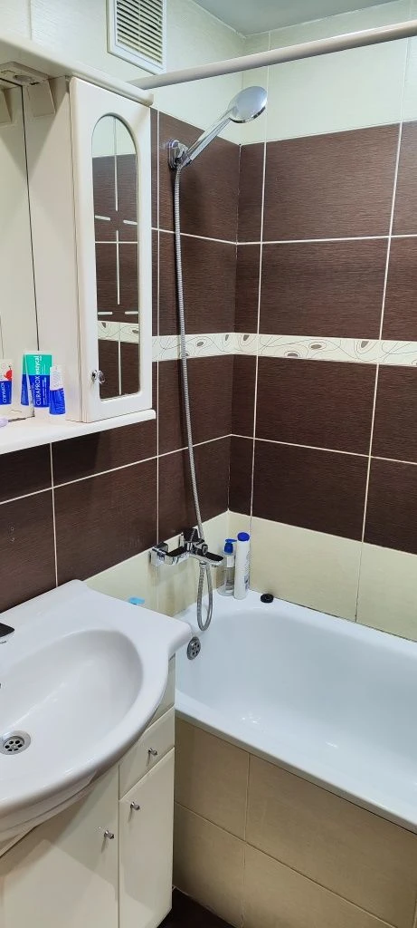 3-bedroom apartment in the city center
