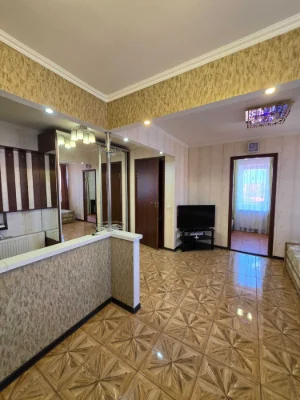 Ready-to-move-in one-and-a-half-room apartment in a new building, center