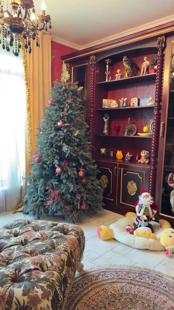 Автономний будинок Ірпінь