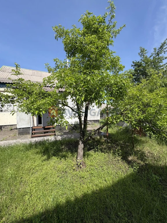 For Sale: House in Karnaukhovych