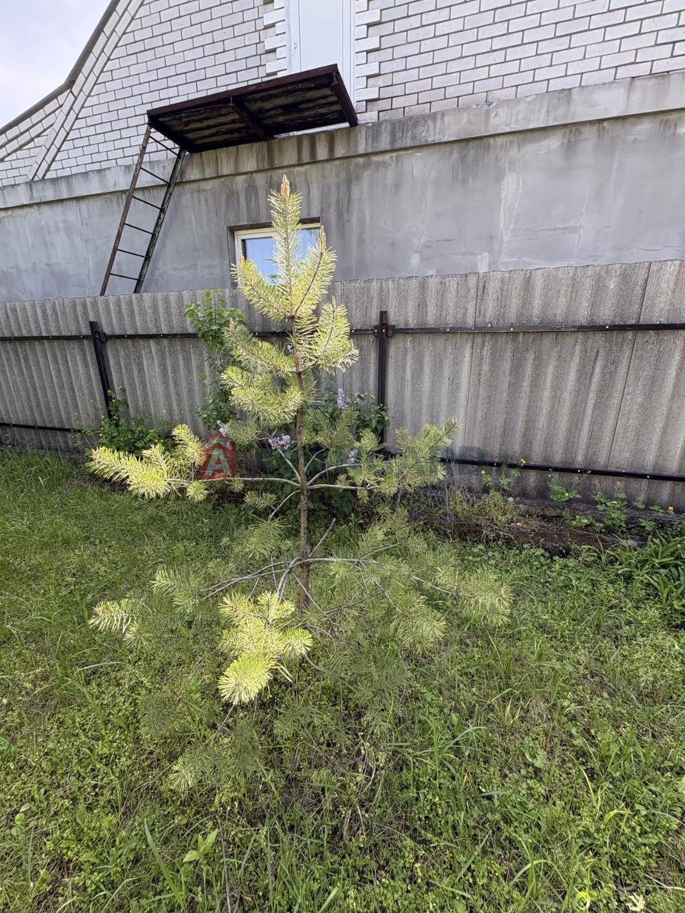 For Sale: House in Karnaukhovych