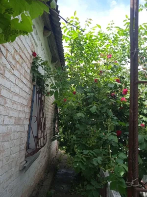 Продажа дома в Коломойцево
