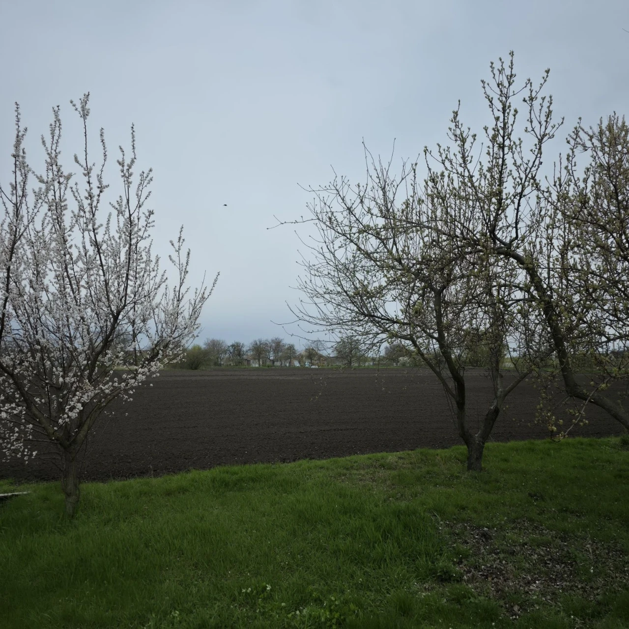 Land for sale in Kagarlyk, Pavlova Street