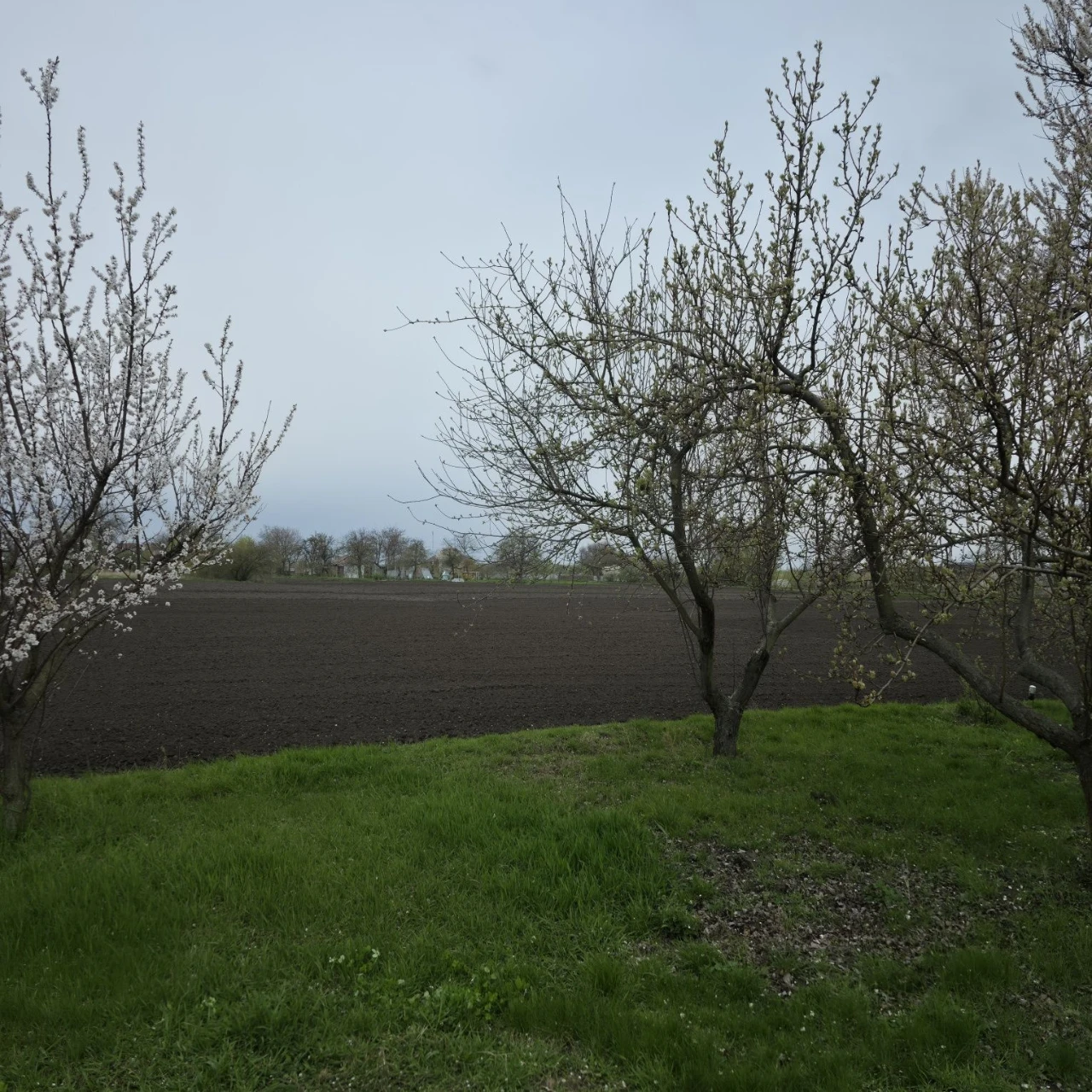 Land for sale in Kagarlyk, Pavlova Street
