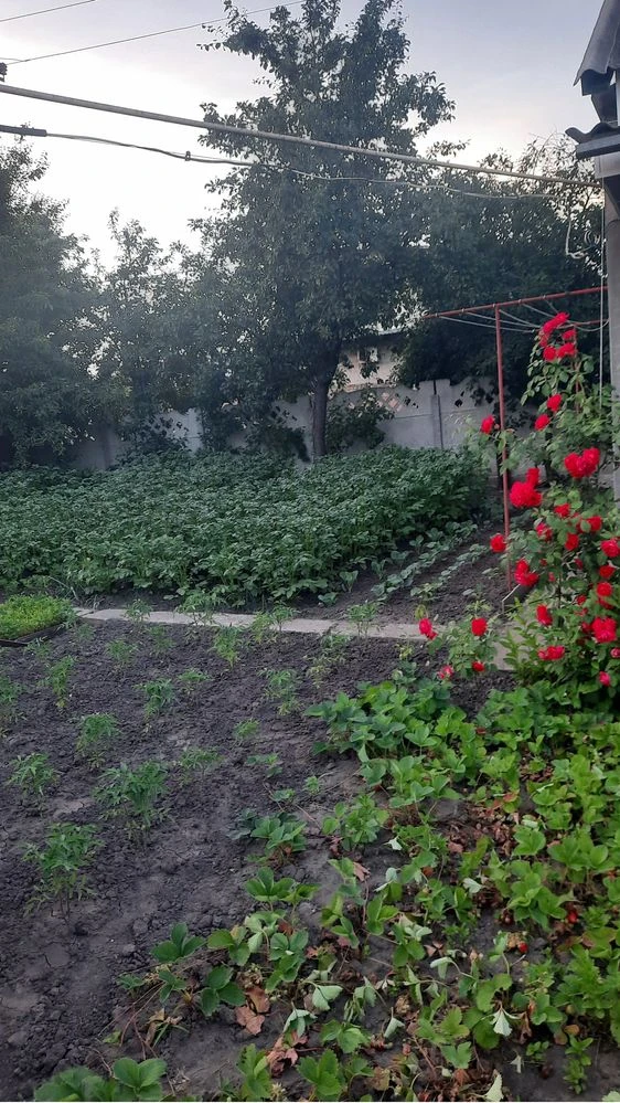 Продам газифікований будинок
