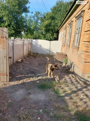 Duplex for Sale