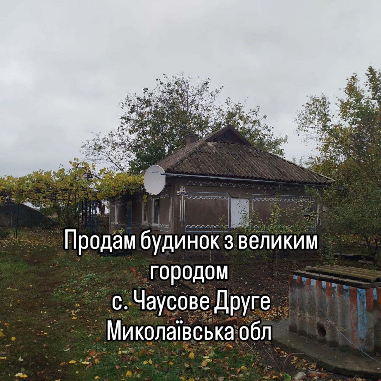 Продається будиночок з великим городом в с. Чаусове Друге Николаевская область