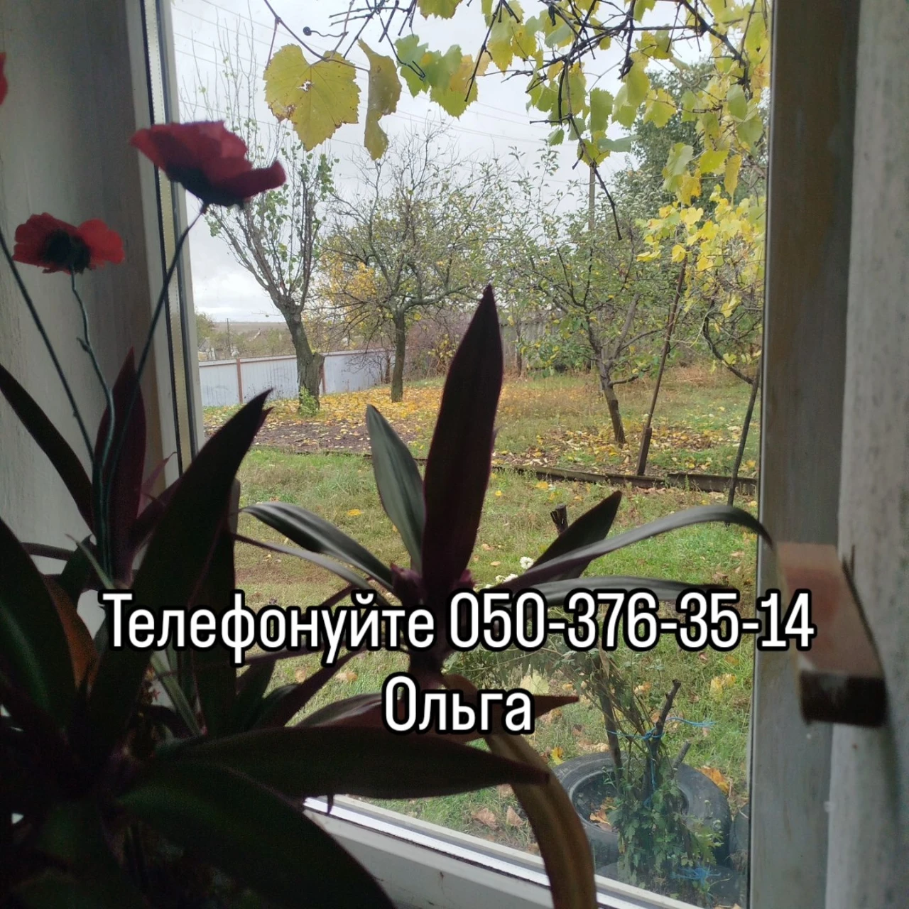 Продається будиночок з великим городом в с. Чаусове Друге Николаевская область