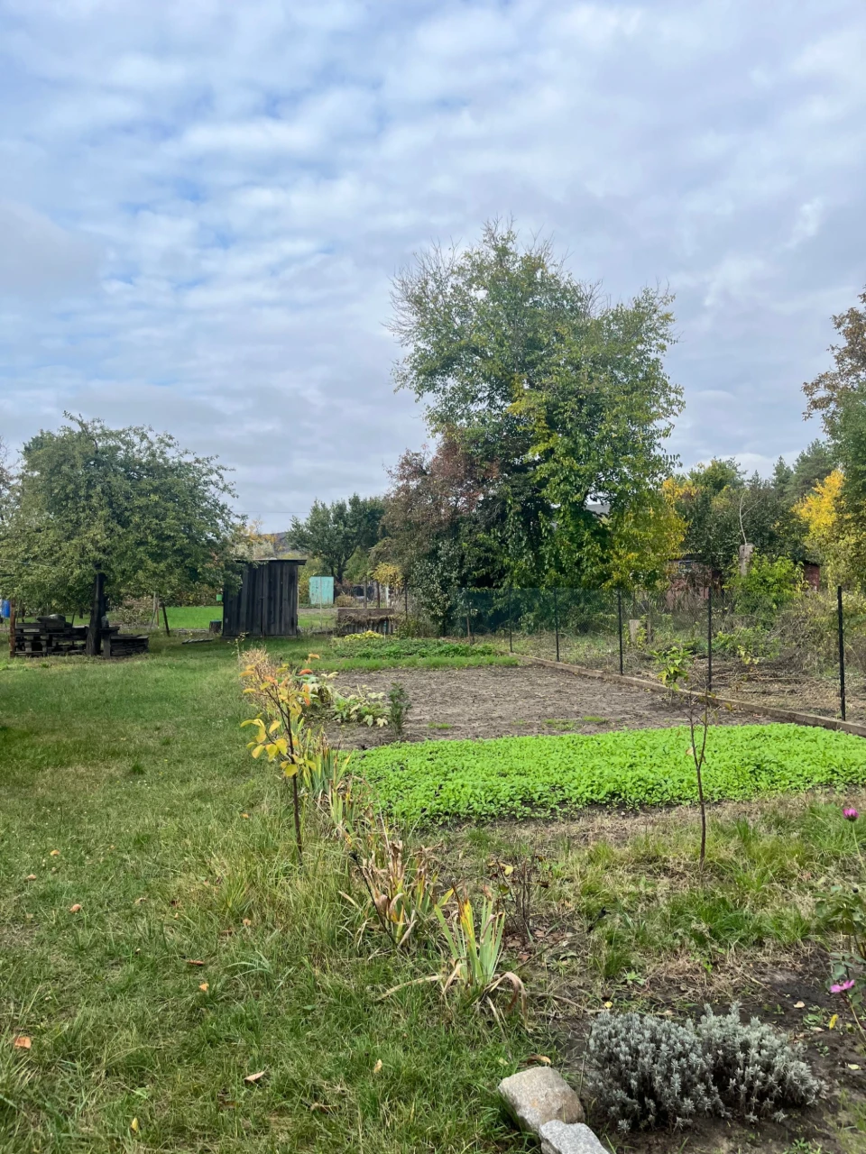 Country House in "Swedish" area, Kremenchutskiy district