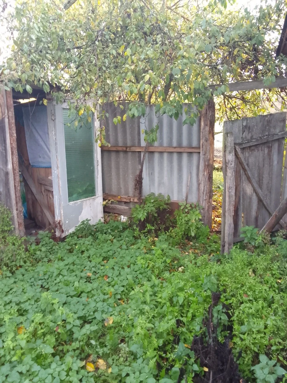 House in the village of Bochcheky