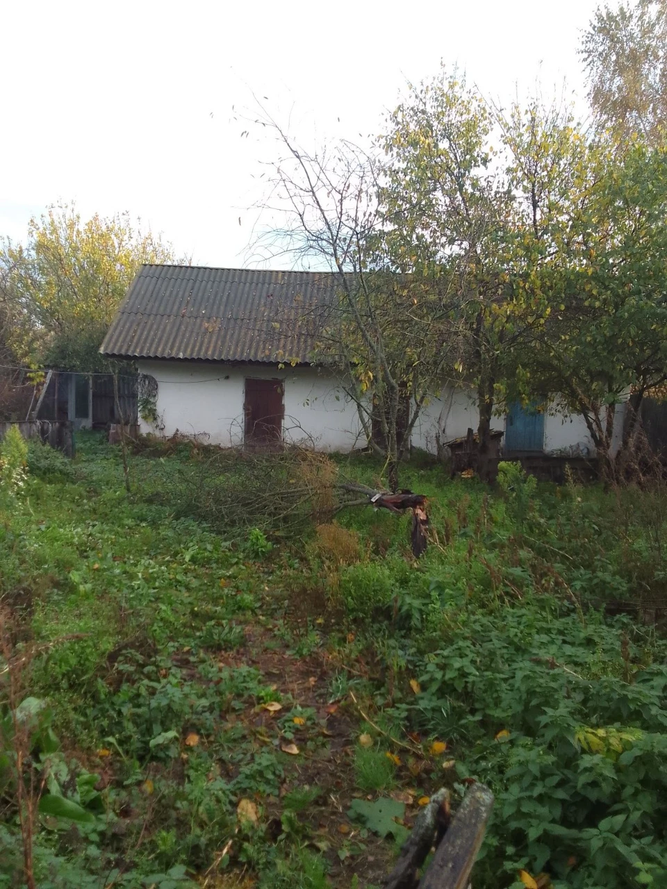 House in the village of Bochcheky