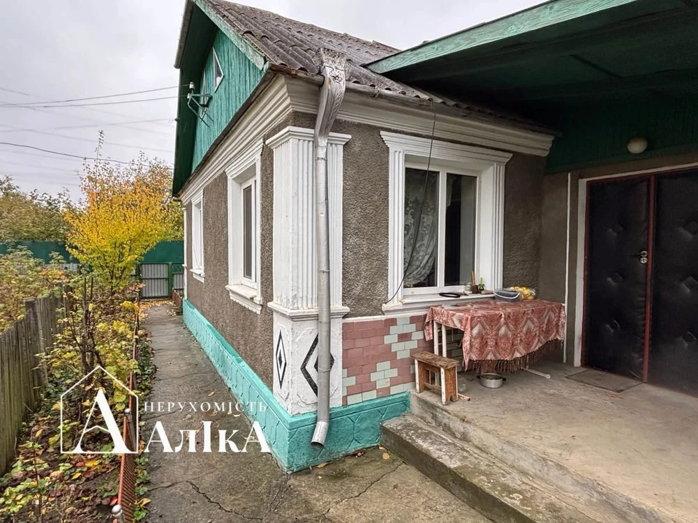 Продається будинок з літньою кухнею та гаражем