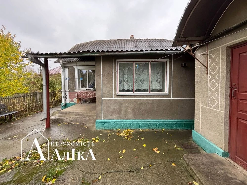 Продається будинок з літньою кухнею та гаражем