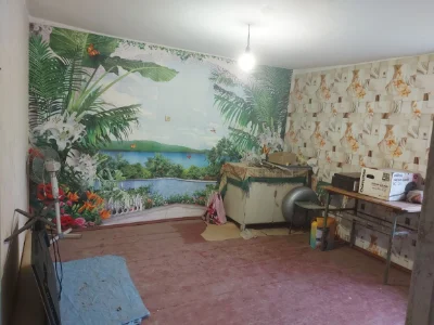 Затишний будинок в с. Костянтинівка, 3 км від Сміли