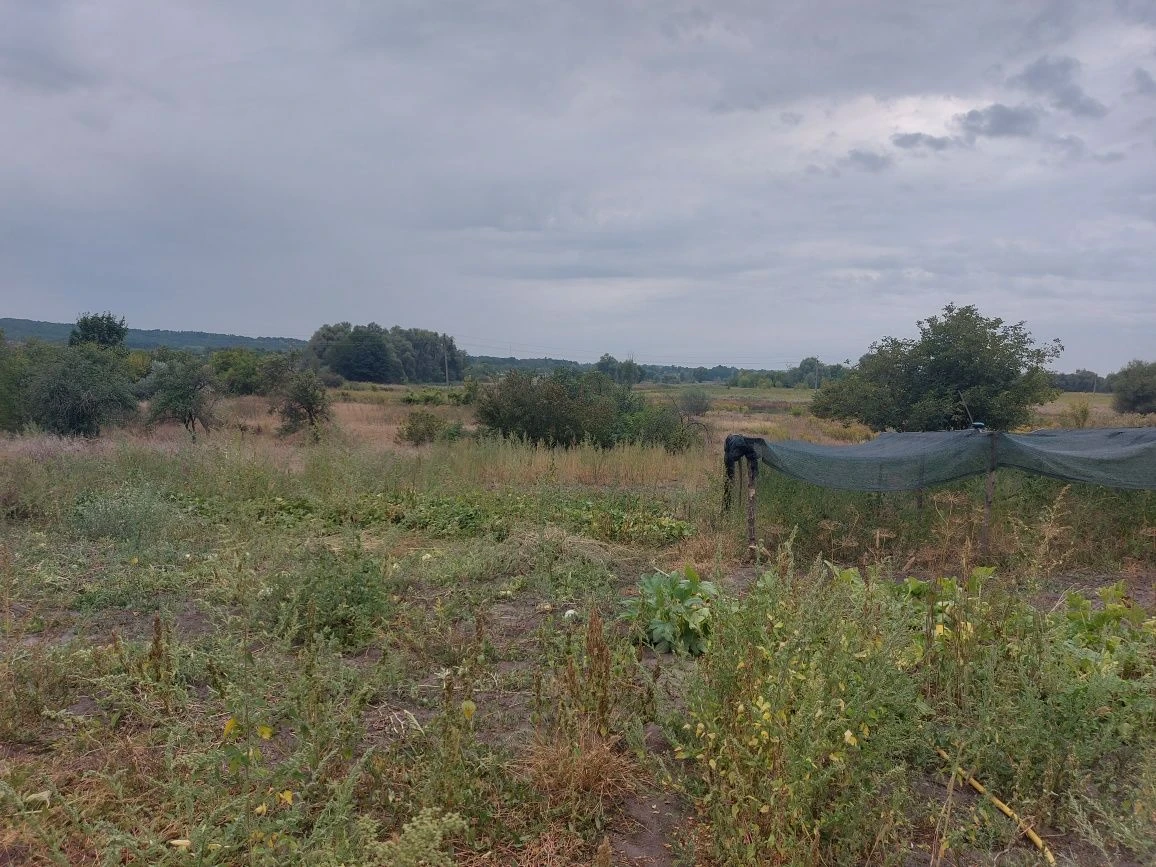 Затишний будинок в с. Костянтинівка, 3 км від Сміли