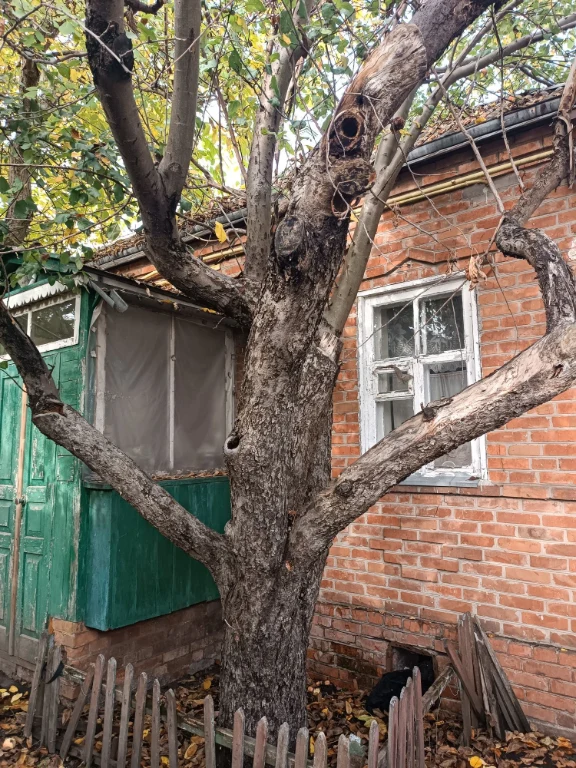For Sale: House in Merefe