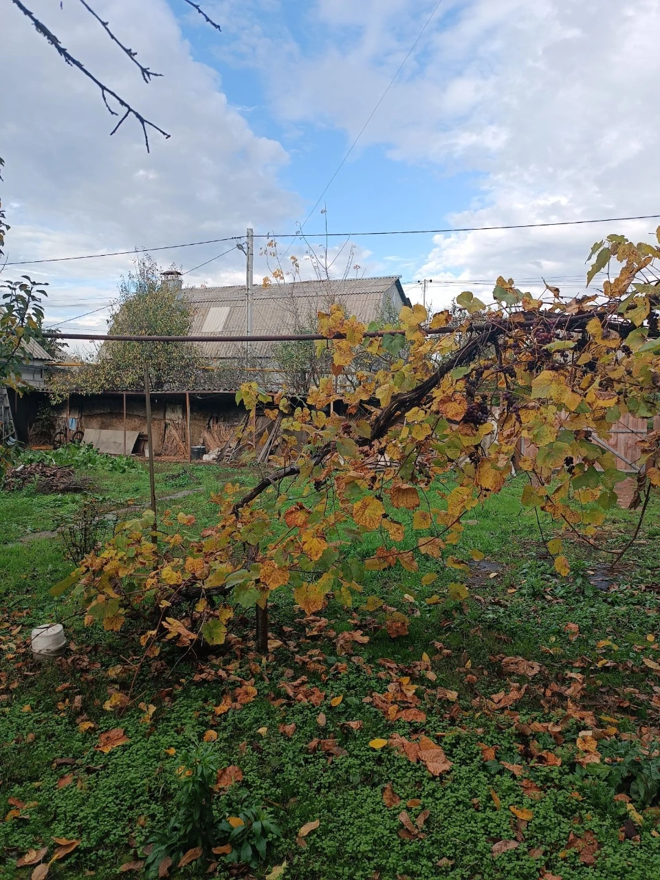 Продам дом в Мерефе